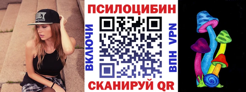 магазин Ачхой-Мартан Галлюциногенные грибы MAGIC MUSHROOMS